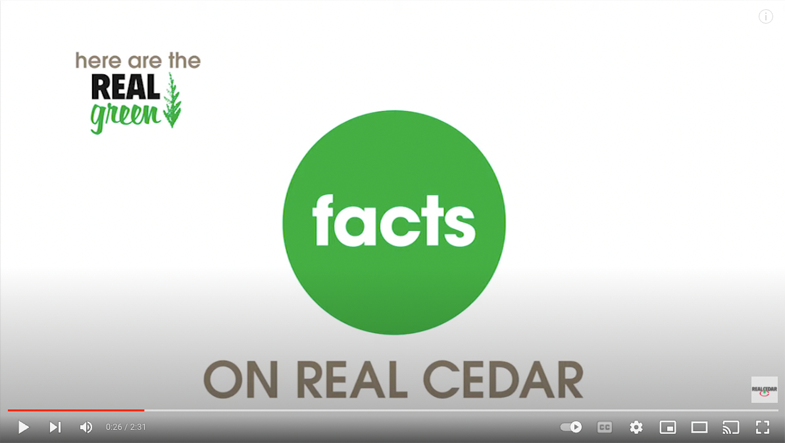 cedar-video-placeholder.png