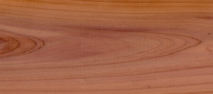 western red cedar