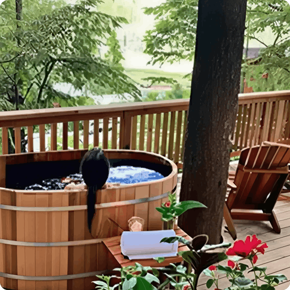 0% Financing OAC Available