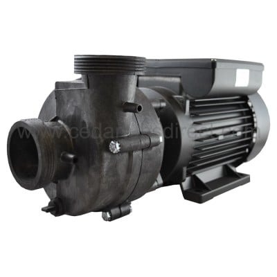 2 HP Spa Pump - UltraJet Ultimax  220-240 VAC 50 Hz - Europe